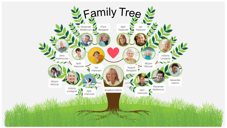 Family Tree | 103 plays | Quizizz