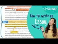 Persuasive Essay Structure - Class 4 - Quizizz