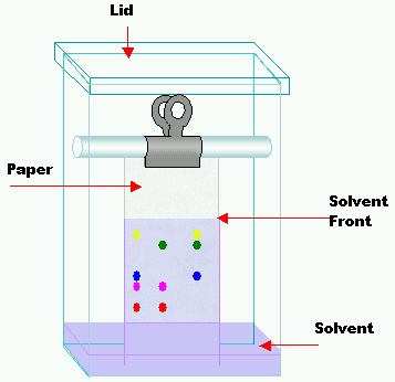 Chromatography Quiz Chemistry Quizizz