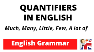 Quantifiers Unit 8 | Quizizz