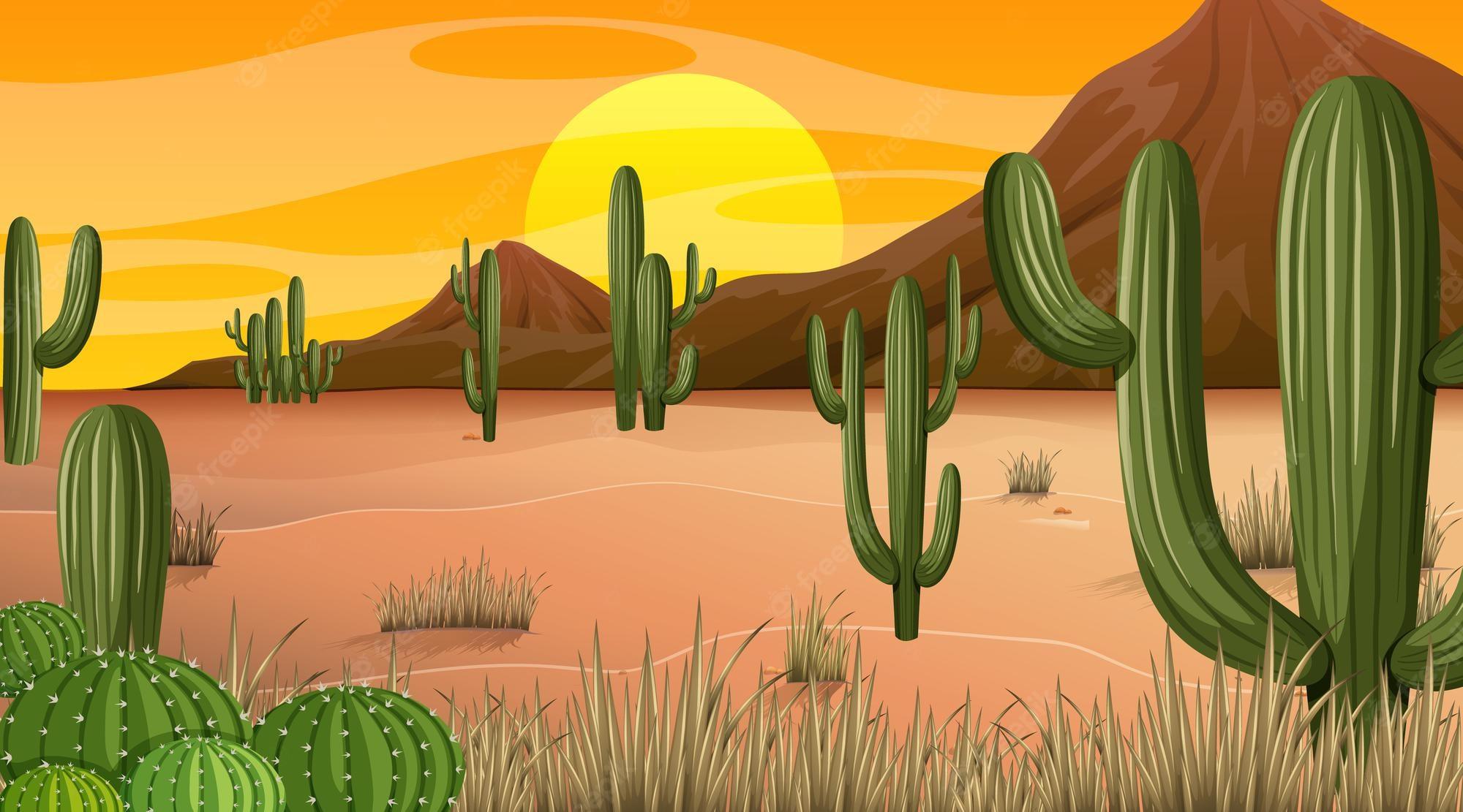 Desert Ecosystem 