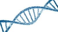 struktur dan replikasi DNA - Kelas 9 - Kuis