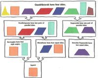 Classifying Quadrilaterals Flashcards - Quizizz