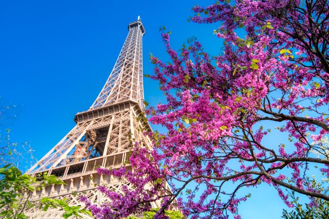 la tour eiffel quiz