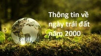 Vẽ trái tim - Lớp 8 - Quizizz