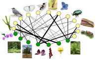 Actividades en la naturaleza - Grado 7 - Quizizz