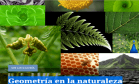 Actividades en la naturaleza - Grado 2 - Quizizz