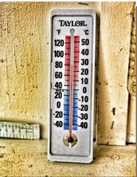 units of temperature - Grade 1 - Quizizz