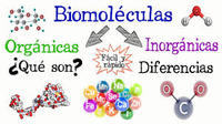 síntesis de arn y proteínas Tarjetas didácticas - Quizizz