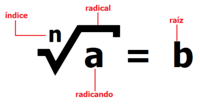 raíces cúbicas - Grado 7 - Quizizz