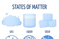 states of matter and intermolecular forces - Year 5 - Quizizz