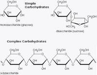 macromolecules Flashcards - Quizizz