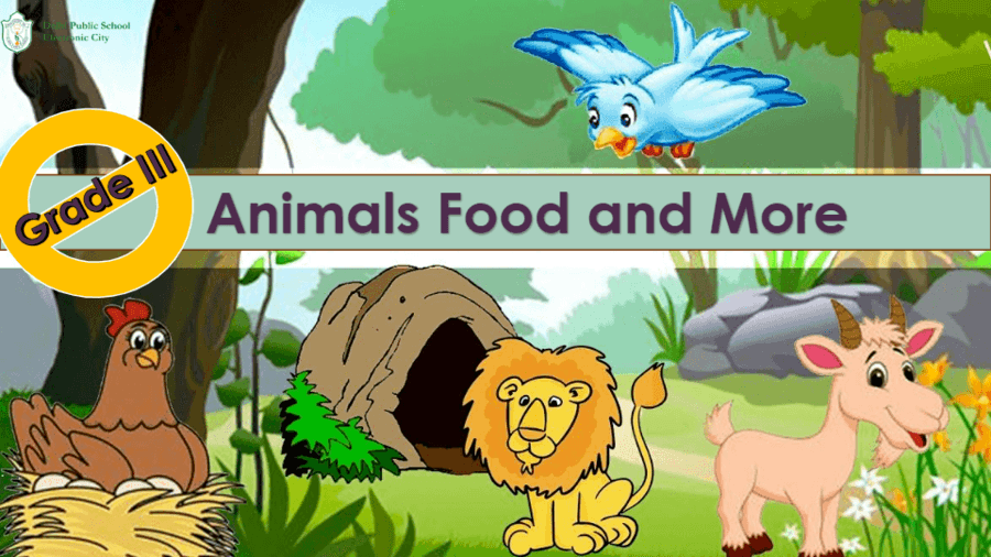 ANIMALS: FOOD AND MORE | Science - Quizizz