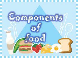 Components Of Food Class 6