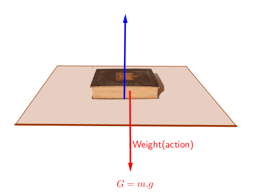 Laws Of Motion - Conceptual Questions And Numerical Problems 