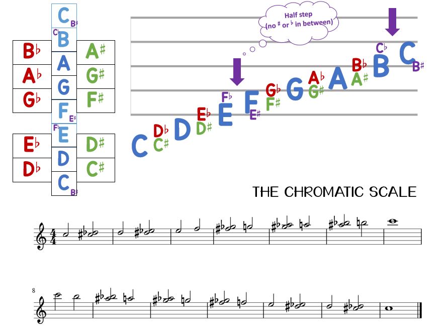 Enharmonic Quiz | Music Quiz - Quizizz