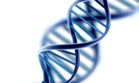 synteza rna i białek - Klasa 8 - Quiz