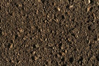 soils - Year 10 - Quizizz