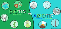 Abiotic Vs Biotic 121 Plays Quizizz