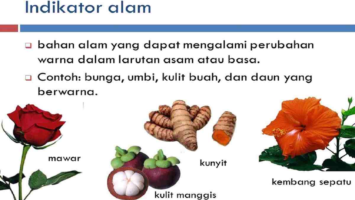 asal usul Yudaisme - Kelas 11 - Kuis