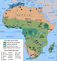 các nước ở Châu Phi - Lớp 11 - Quizizz