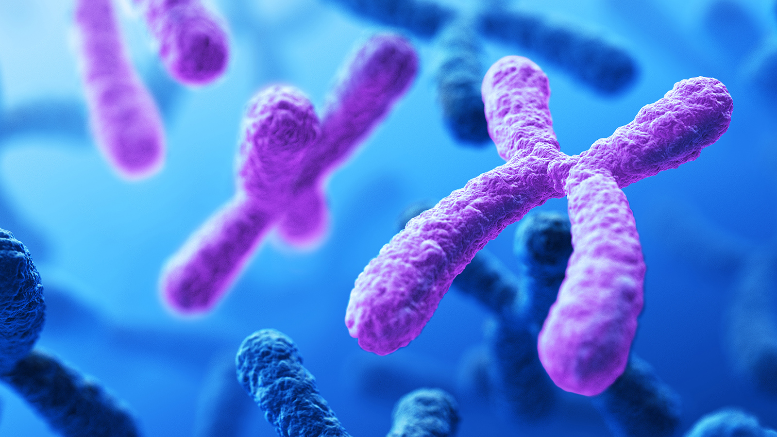 genetics vocabulary dominant and recessive - Year 10 - Quizizz