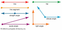 transversal of parallel lines - Grade 4 - Quizizz