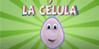 diagrama de células vegetales - Grado 6 - Quizizz