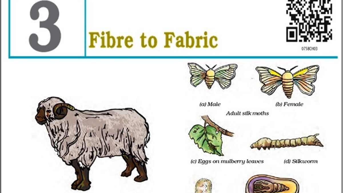 Chapter 3. Fibre to Fabric 