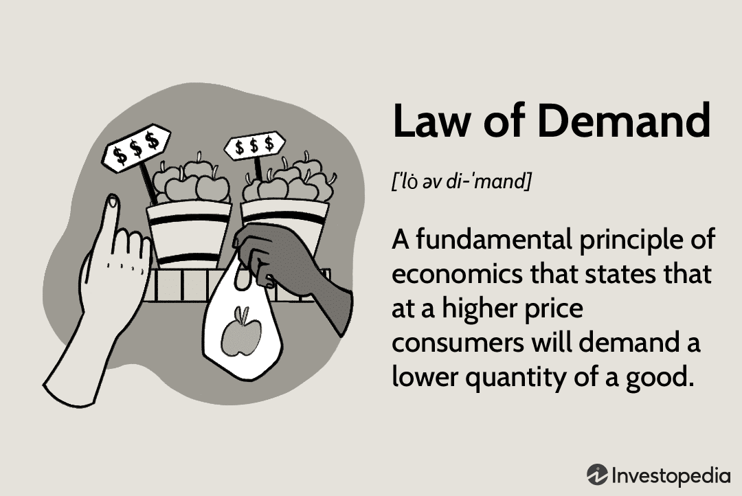 demand and price elasticity - Class 9 - Quizizz