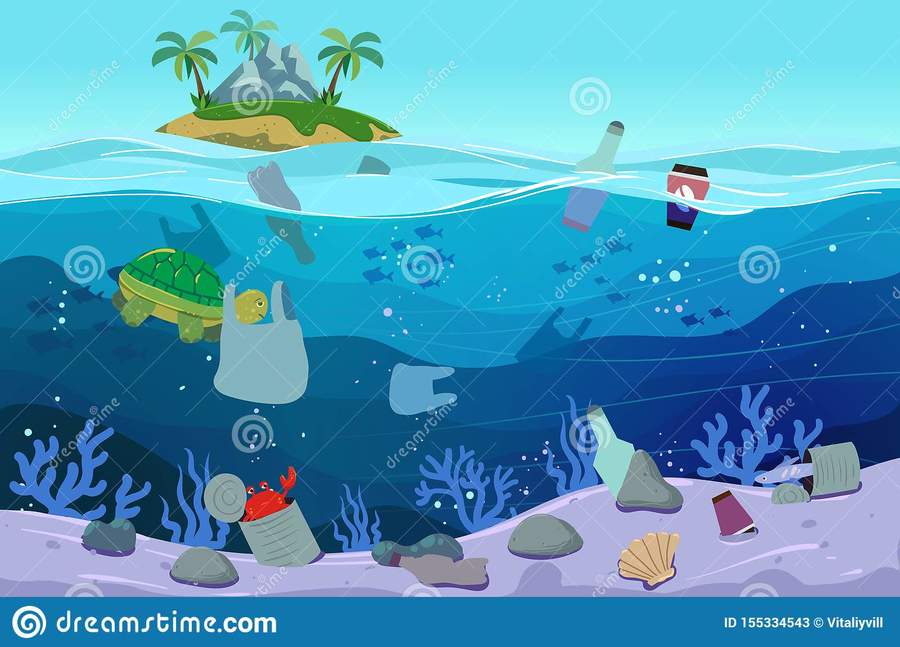 Water pollution | Science - Quizizz