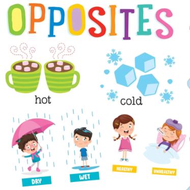 Identifying Opposites - Year 2 - Quizizz