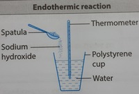 proses endotermik dan eksotermik - Kelas 7 - Kuis