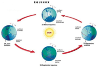 history of life on earth - Class 3 - Quizizz