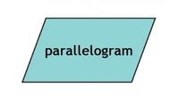 Hexagons - Class 12 - Quizizz