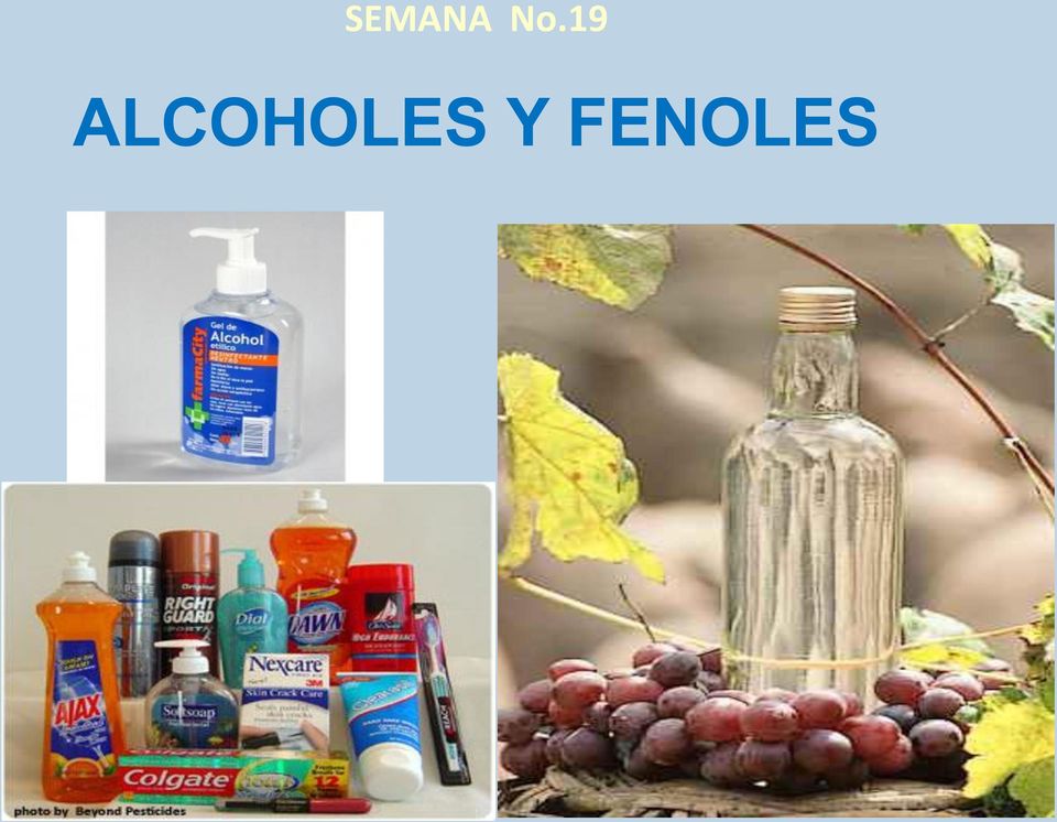 Alcoholes, Fenoles Y Eteres | Chemistry - Quizizz