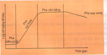 hệ thống sinh sản - Lớp 10 - Quizizz