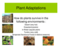 Plant Adaptations