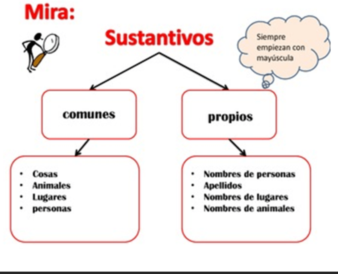 Sustantivo Y Sus Clasificaciones Spanish Quiz Quizizz