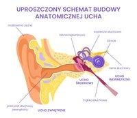 moment obrotowy i równowaga - Klasa 2 - Quiz