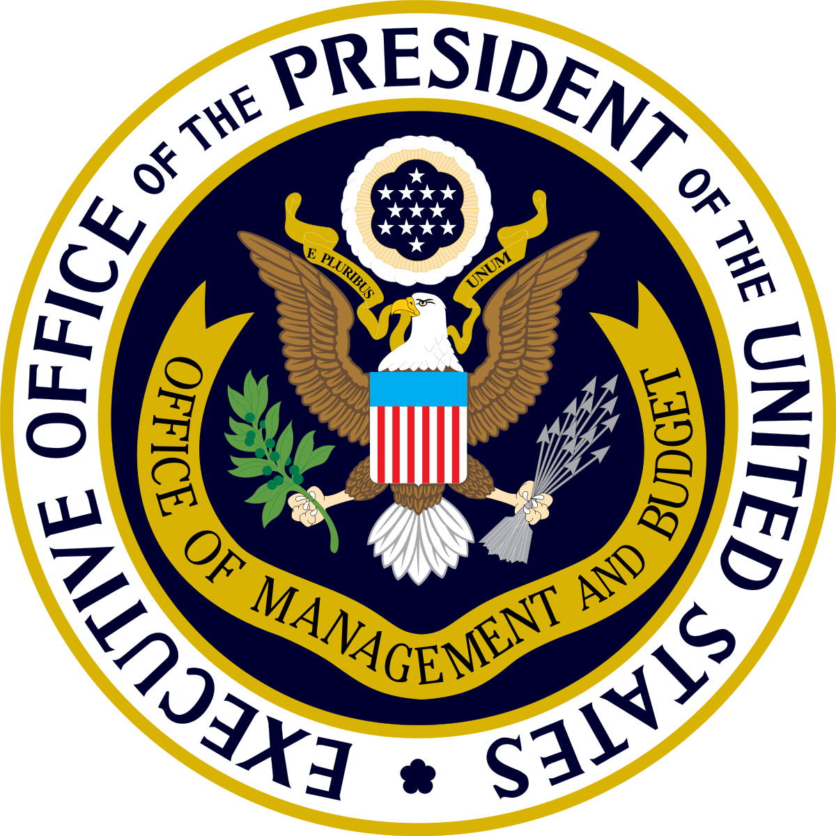 the-executive-branch-practice-questions-quizizz