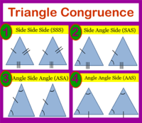 congruence - Grade 10 - Quizizz