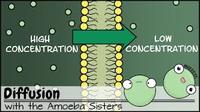 osmosis dan tonisitas - Kelas 6 - Kuis