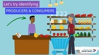 producers and consumers Flashcards - Quizizz