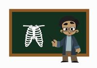 Tarjetas de anatomía - Grado 4 - Quizizz