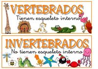 vertebrados e invertebrados - Grado 12 - Quizizz