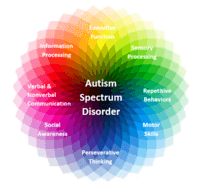 Autism Flashcards - Quizizz