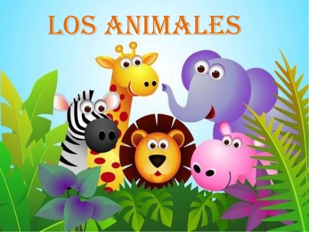 Animales y su clasificación. | Science - Quizizz