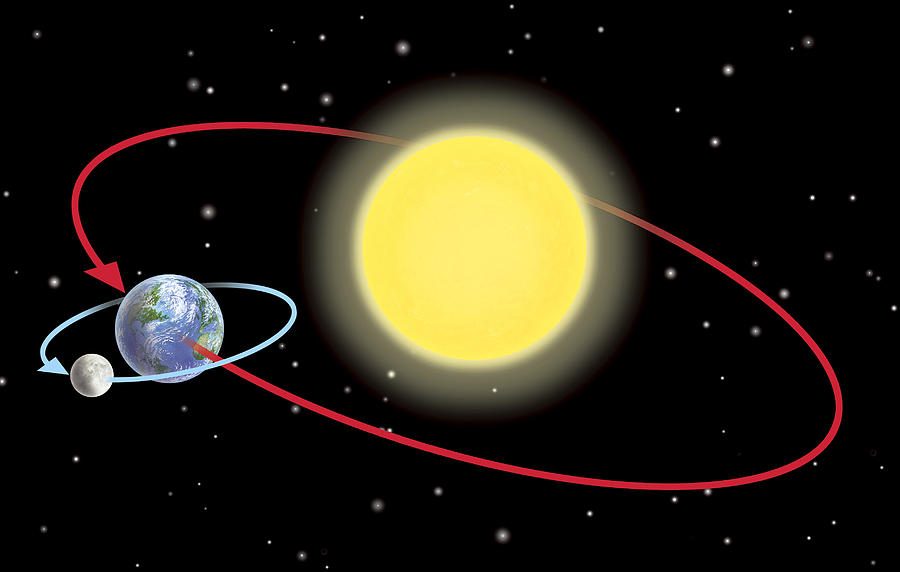 Pine Hill Earth/Moon/Eclipse Quiz | Science Quiz - Quizizz