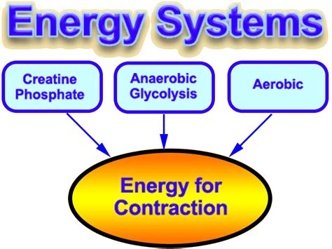 Energy Flashcards - Quizizz